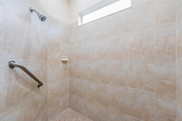 117 Camelot Ridge Dr, Brandon, FL 33511 - full bath featuring tiled shower