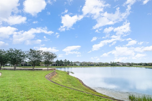 11444 Alachua Creek Ln, Riverview, FL 33579 - water view
