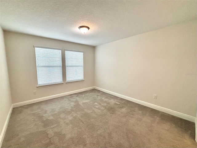 6221 Scarlet Darter Way, Tampa, FL 33625 - photo 13