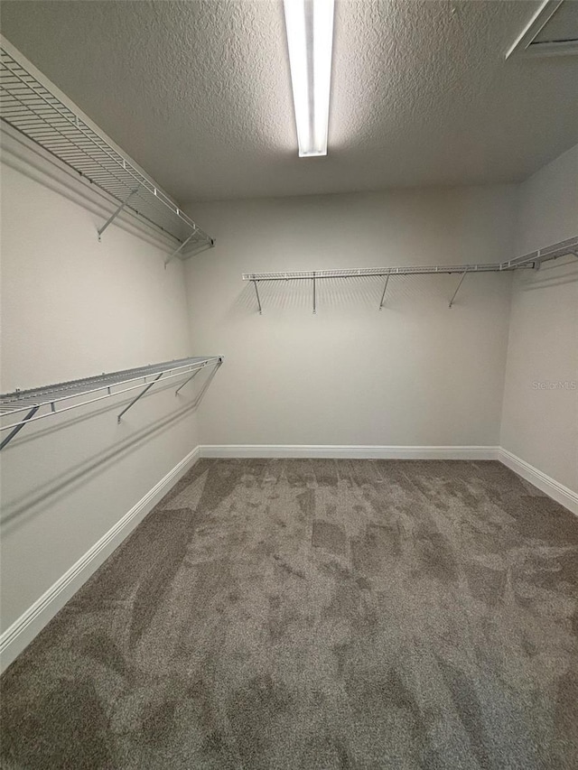 6221 Scarlet Darter Way, Tampa, FL 33625 - photo 26