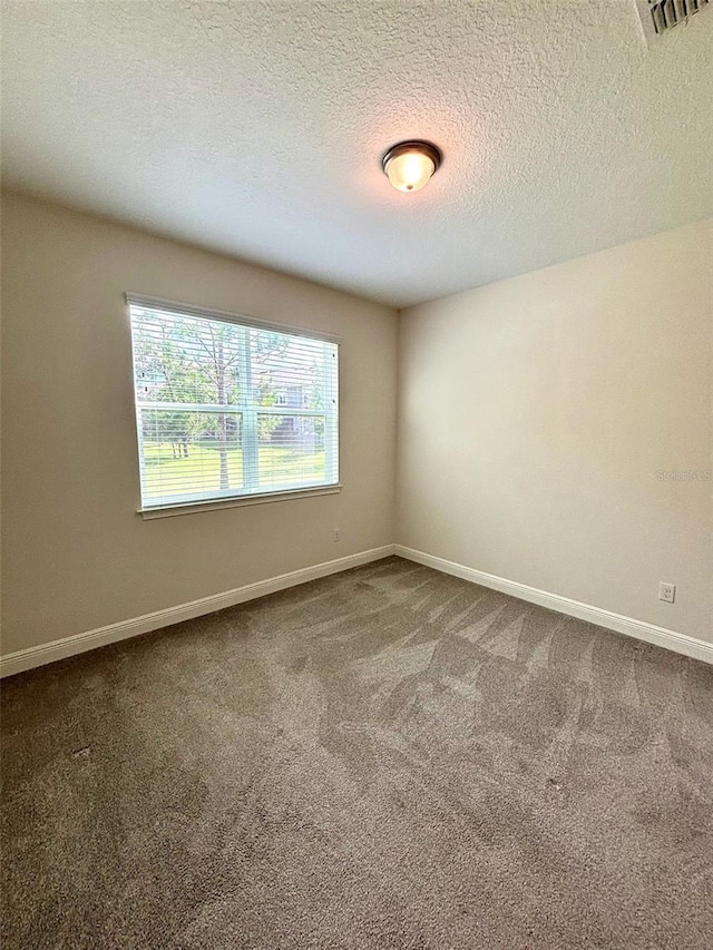 6221 Scarlet Darter Way, Tampa, FL 33625 - photo 29