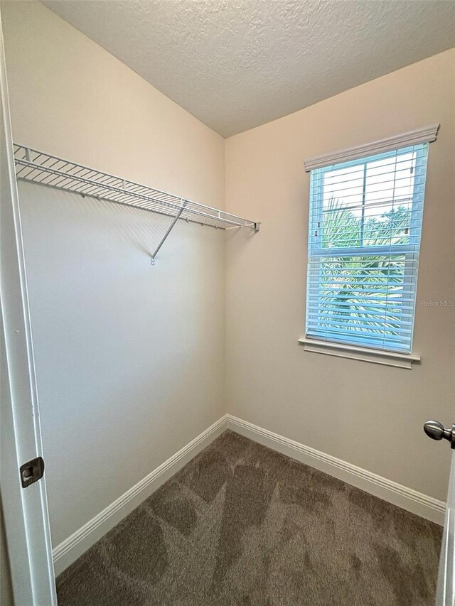 6221 Scarlet Darter Way, Tampa, FL 33625 - photo 30