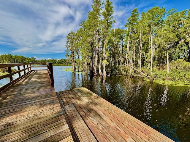 6221 Scarlet Darter Way, Tampa, FL 33625 - photo 39