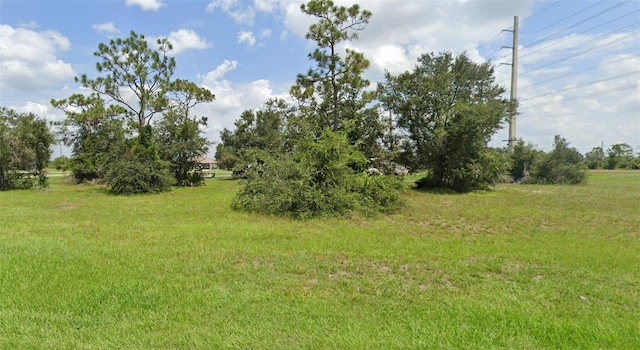 30268 Cedar Rd, Punta Gorda, FL 33982 - photo 1