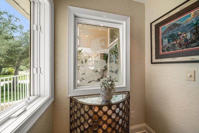 2016 Gulfview Dr, Holiday, FL 34691 - photo 29