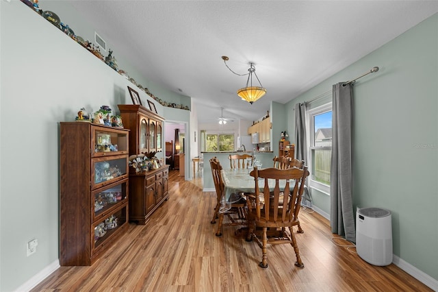 5112 Prairie View Way, Wesley Chapel, FL 33545 - dining room with light wood-type flooring and ceiling fan