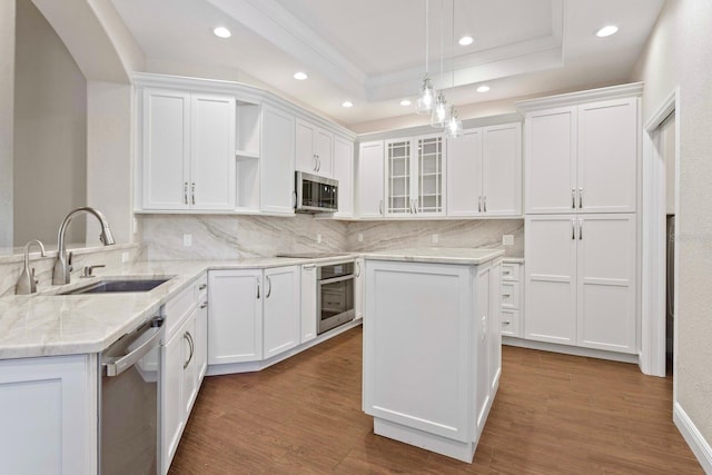 27455 Mistflower Dr, Wesley Chapel, FL 33544 - kitchen featuring stainless steel appliances, a tray ceiling, white cabinets, recessed lighting, and tasteful backsplash