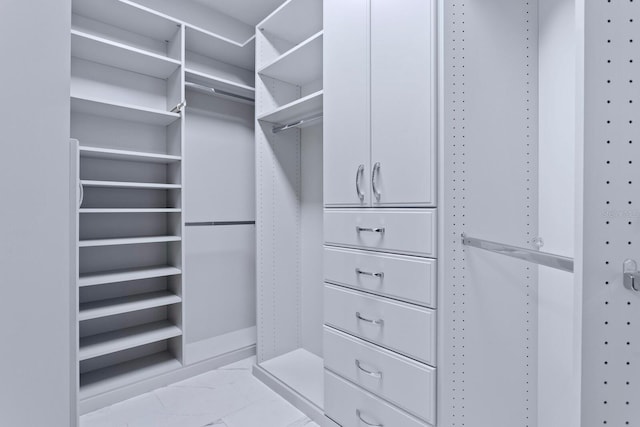 27455 Mistflower Dr, Wesley Chapel, FL 33544 - spacious closet featuring light marble finish floors