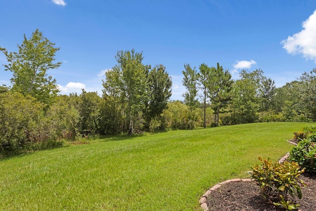 27455 Mistflower Dr, Wesley Chapel, FL 33544 - view of grassy yard with a view of trees