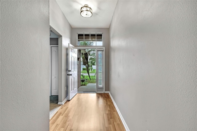 19635 Bellehurst Loop, Land O Lakes, FL 34638 - foyer entrance featuring wood finished floors and a textured wall