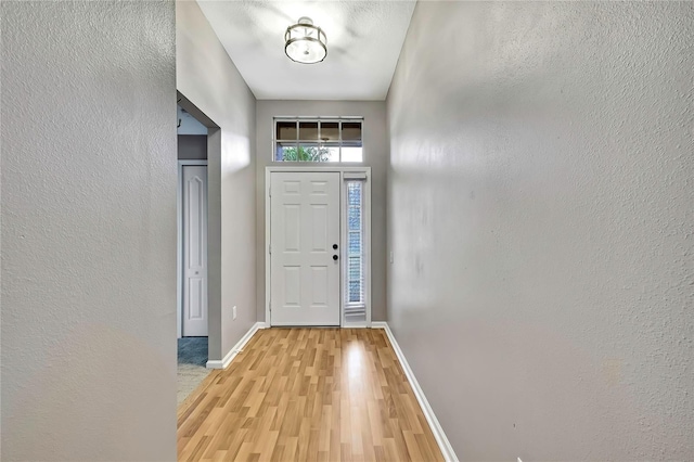 19635 Bellehurst Loop, Land O Lakes, FL 34638 - foyer featuring light wood-style floors and a textured wall