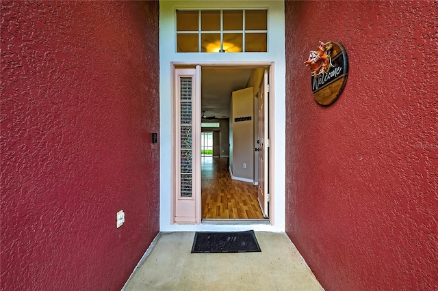 19635 Bellehurst Loop, Land O Lakes, FL 34638 - property entrance with stucco siding
