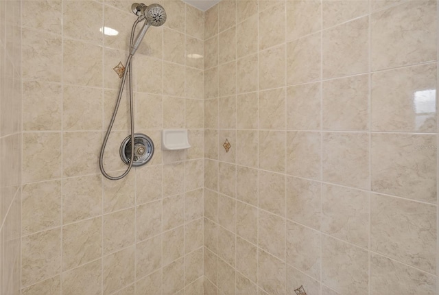 11348 Tee Time Cir, New Port Richey, FL 34654 - bathroom view of a tile shower
