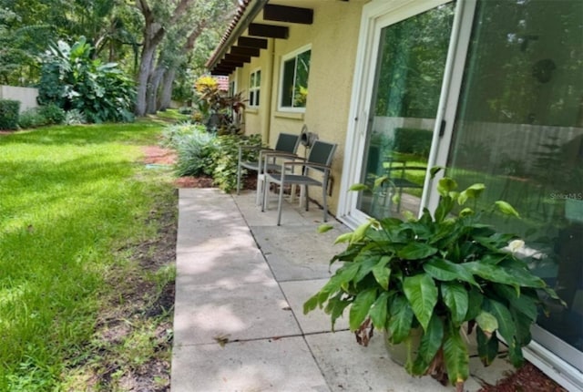 1701 Pinehurst Rd Unit 24B, Dunedin, FL 34698 - view of patio