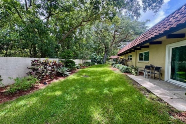 1701 Pinehurst Rd Unit 24B, Dunedin, FL 34698 - fenced backyard featuring a patio