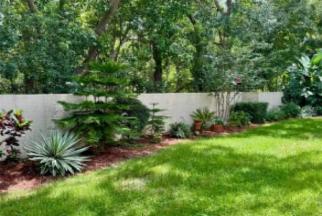 1701 Pinehurst Rd Unit 24B, Dunedin, FL 34698 - view of yard