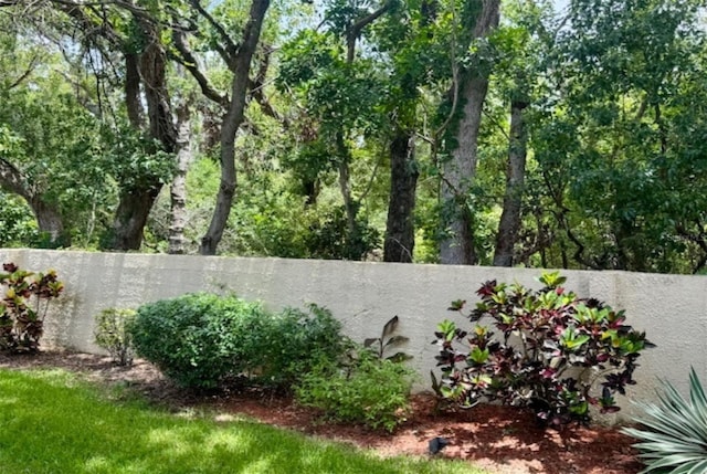 1701 Pinehurst Rd Unit 24B, Dunedin, FL 34698 - view of yard
