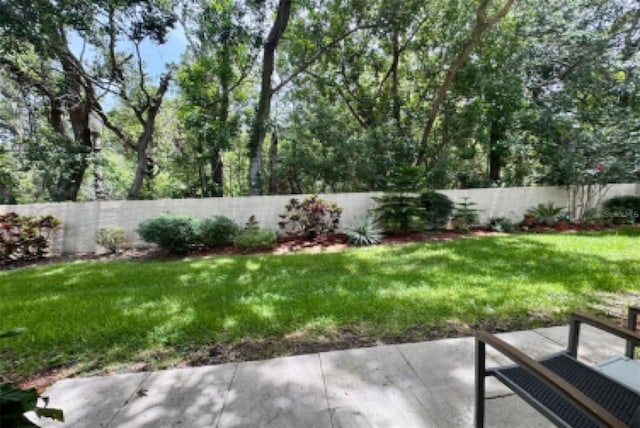 1701 Pinehurst Rd Unit 24B, Dunedin, FL 34698 - fenced backyard featuring a patio area