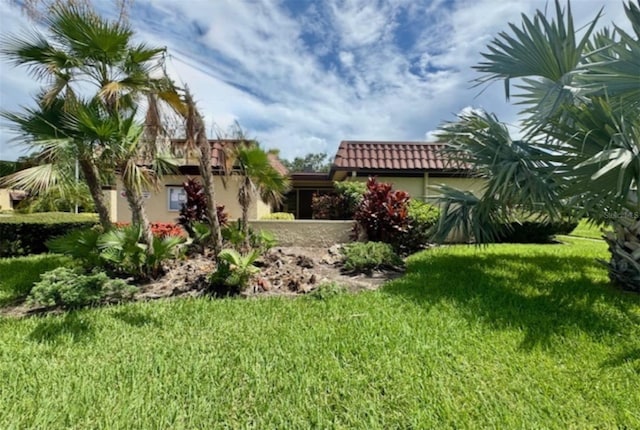 1701 Pinehurst Rd Unit 24B, Dunedin, FL 34698 - view of grassy yard