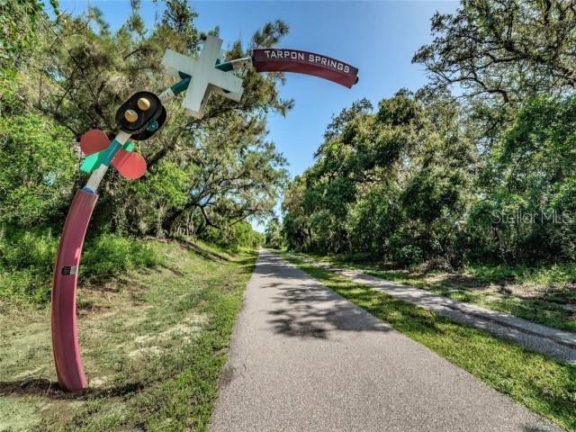1701 Pinehurst Rd Unit 24B, Dunedin, FL 34698 - view of street
