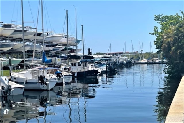 1701 Pinehurst Rd Unit 24B, Dunedin, FL 34698 - dock area featuring a water view