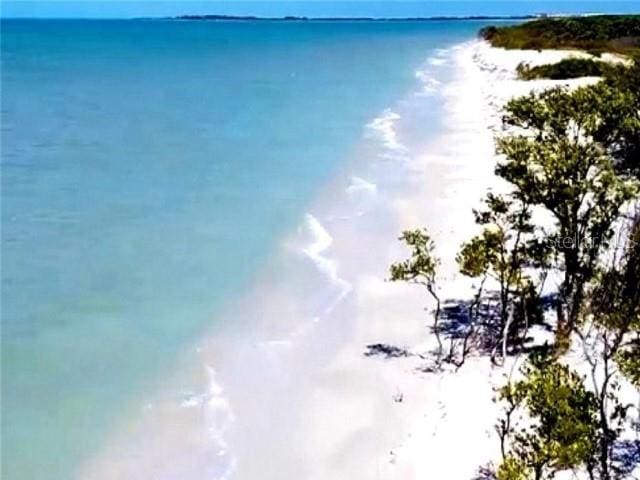1701 Pinehurst Rd Unit 24B, Dunedin, FL 34698 - water view
