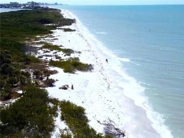 1701 Pinehurst Rd Unit 24B, Dunedin, FL 34698 - bird's eye view of unending shoreline
