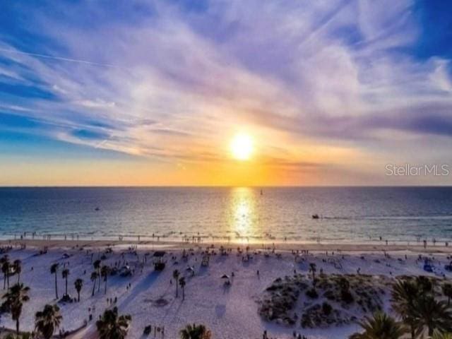 1701 Pinehurst Rd Unit 24B, Dunedin, FL 34698 - water view with local beach