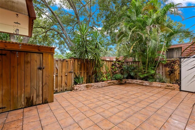 2712 12th Ct, Palm Harbor, FL 34684 - photo 5