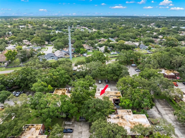 2712 12th Ct, Palm Harbor, FL 34684 - photo 34