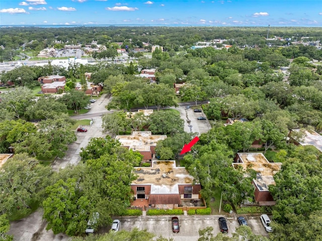 2712 12th Ct, Palm Harbor, FL 34684 - photo 36