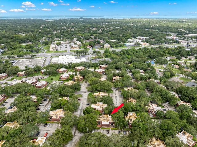 2712 12th Ct, Palm Harbor, FL 34684 - photo 37