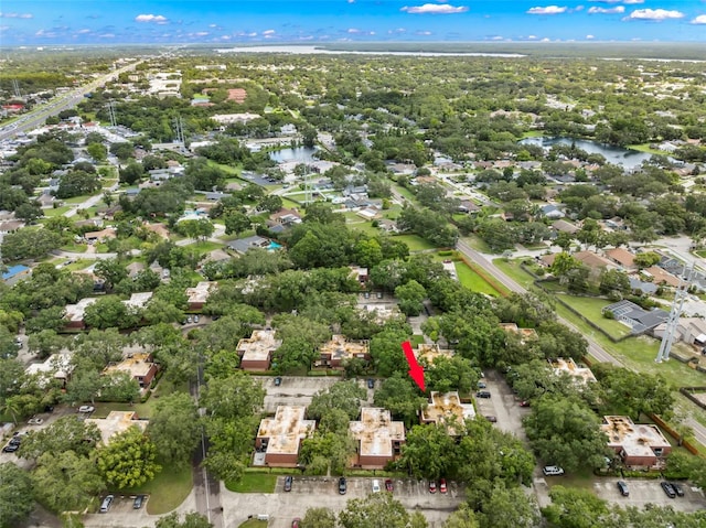 2712 12th Ct, Palm Harbor, FL 34684 - photo 38