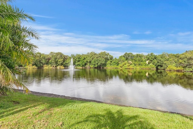 2712 12th Ct, Palm Harbor, FL 34684 - photo 40