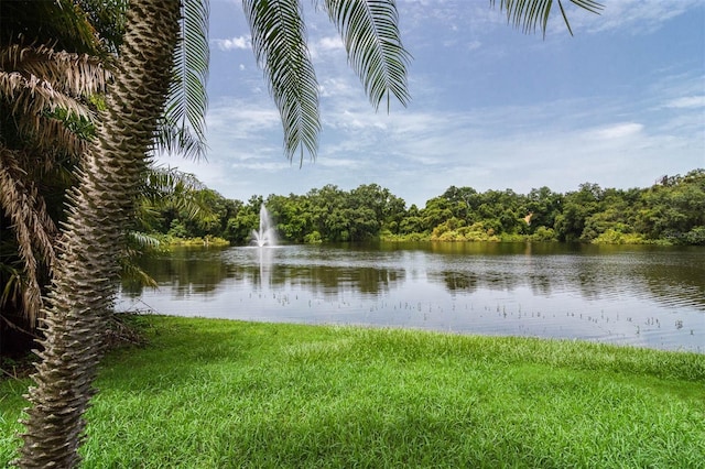 2712 12th Ct, Palm Harbor, FL 34684 - photo 46