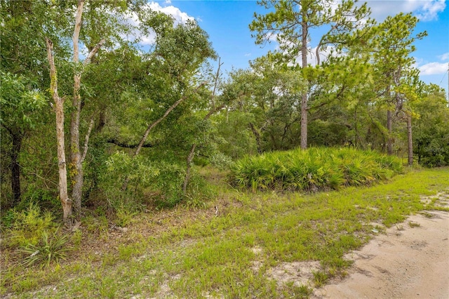 0000 Marsh Owl Ave, Weeki Wachee, FL 34614 - photo 1