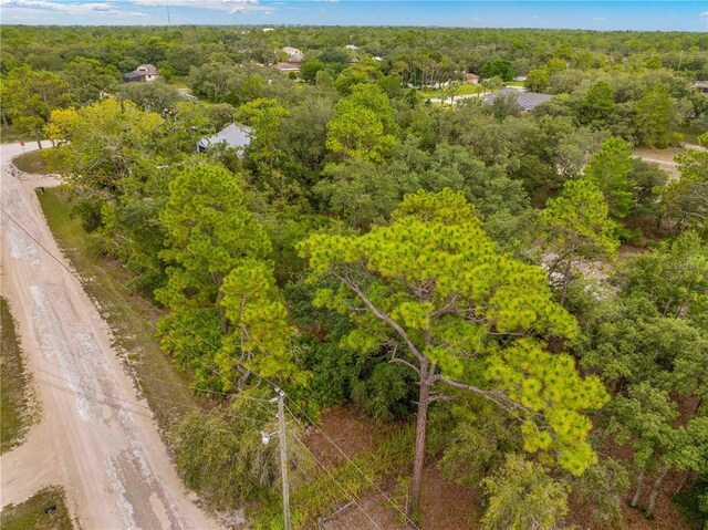 0000 Marsh Owl Ave, Weeki Wachee, FL 34614 - photo 3