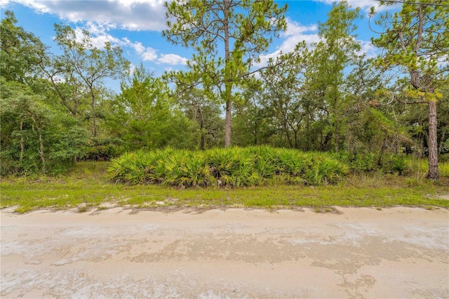 0000 Marsh Owl Ave, Weeki Wachee, FL 34614 - photo 16