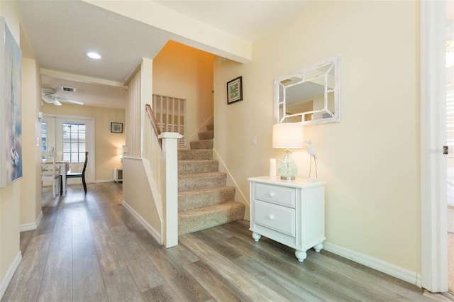 4210 W Roland St, Tampa, FL 33609 - photo 5