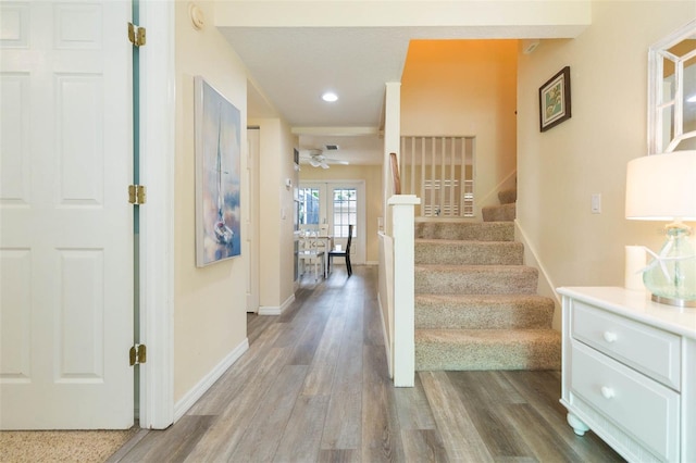 4210 W Roland St, Tampa, FL 33609 - photo 6