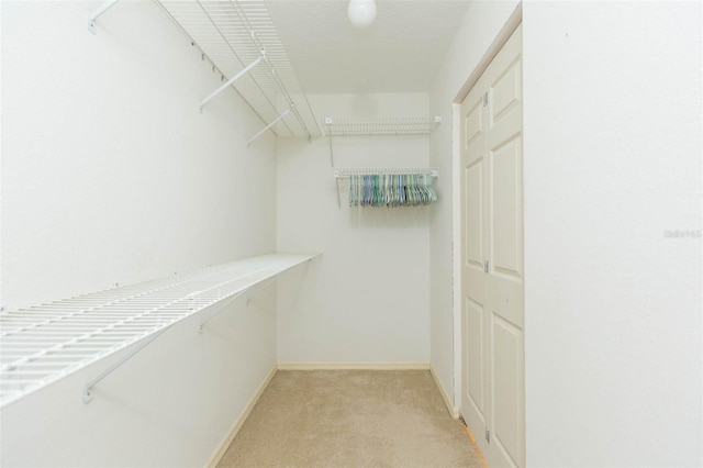 4210 W Roland St, Tampa, FL 33609 - photo 32