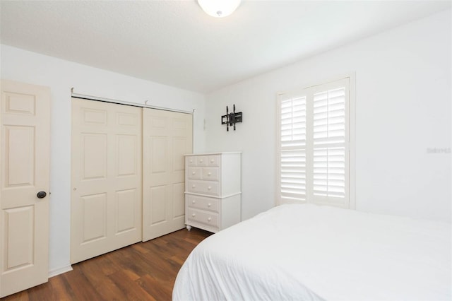 4210 W Roland St, Tampa, FL 33609 - photo 37