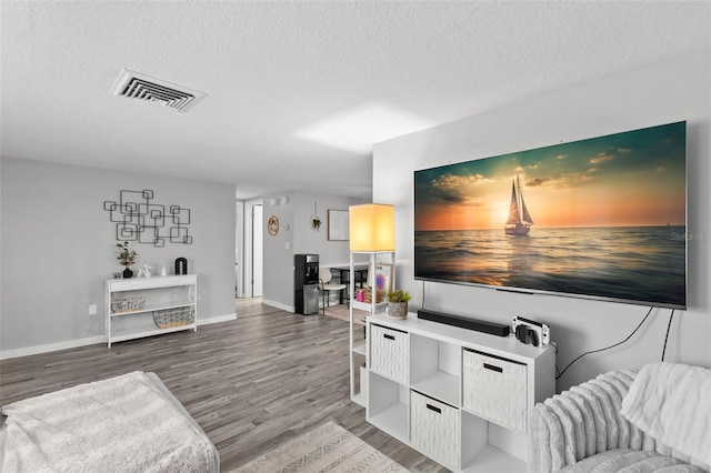 8004 Beaver Creek Loop, Hudson, FL 34667 - living room with wood finished floors and a textured ceiling