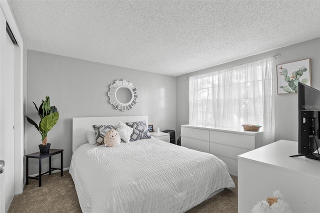 8004 Beaver Creek Loop, Hudson, FL 34667 - bedroom with carpet and a textured ceiling