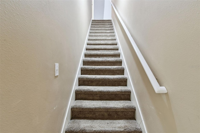 5507 Garden Arbor Dr, Lutz, FL 33558 - photo 39