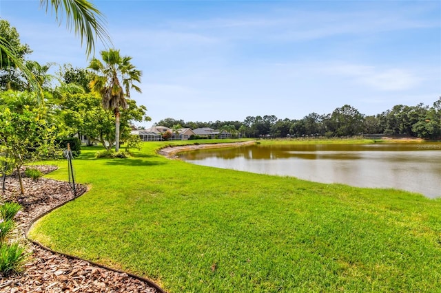 5507 Garden Arbor Dr, Lutz, FL 33558 - photo 50
