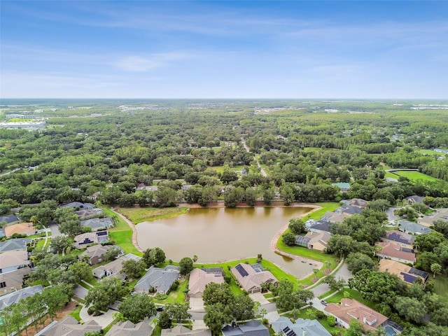 5507 Garden Arbor Dr, Lutz, FL 33558 - photo 53