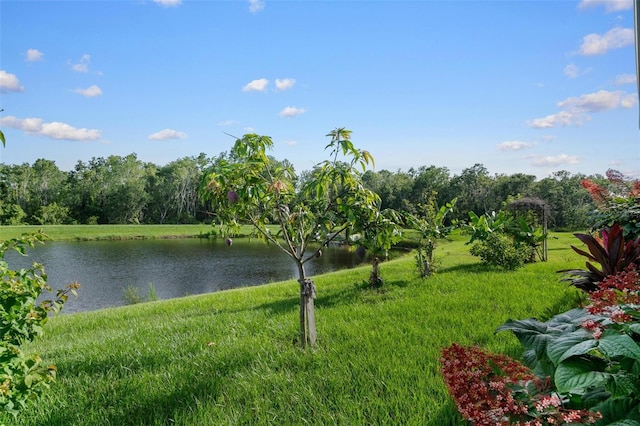 11303 Misty Moss Dr, Wimauma, FL 33598 - water view