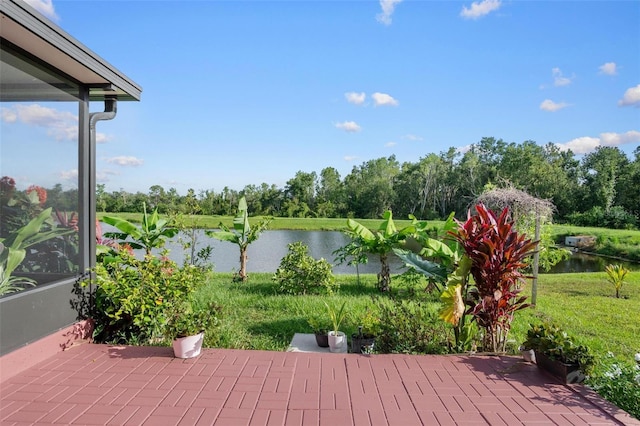 11303 Misty Moss Dr, Wimauma, FL 33598 - view of patio / terrace with a water view and view of wooded area