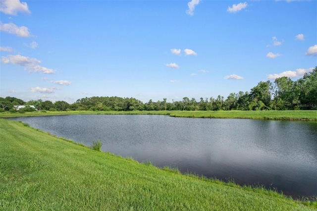 11303 Misty Moss Dr, Wimauma, FL 33598 - water view